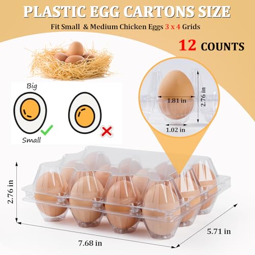 120 Pack Egg Cartons 12 Count (120 Count)