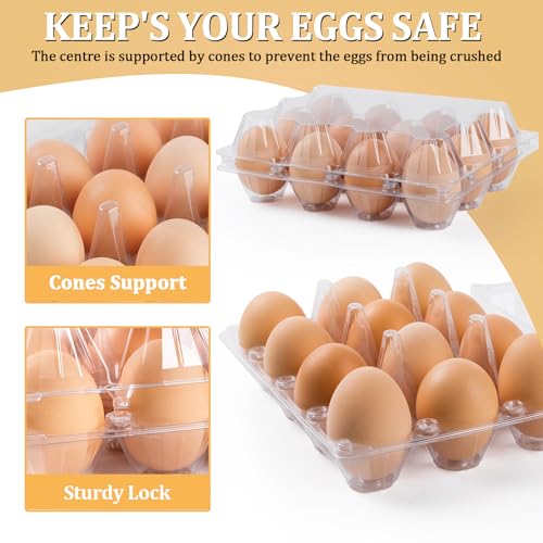 120 Pack Egg Cartons 12 Count (120 Count)