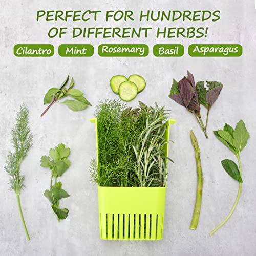 2 Pack Fresh Herb Keeper for Refrigerator (2 Pack)