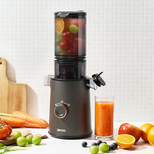 Cold Press Juice Machine Slow Masticating Fruit and Vegetable Juicer for Home with Large 4 (Gray)