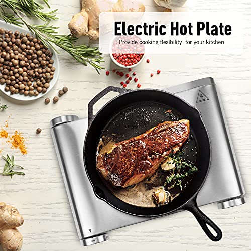 Electric Stove (Silver / Single Burner)