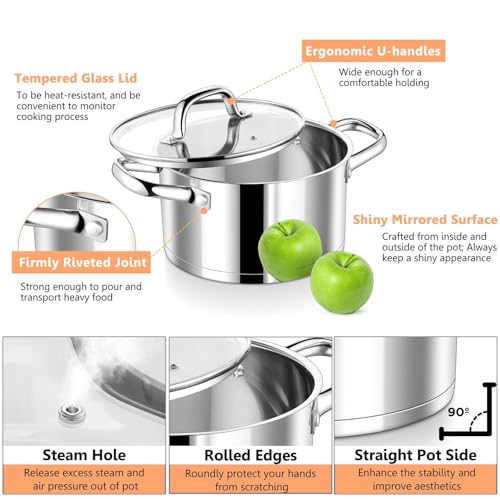 5 Quarts Stock Pot with Lid (5 Quarts)