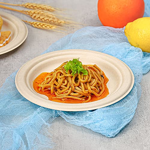 Small Paper Plates 7 Inch 150 Pack Compostable Dessert Plates (Brown / 7in 150pcs)