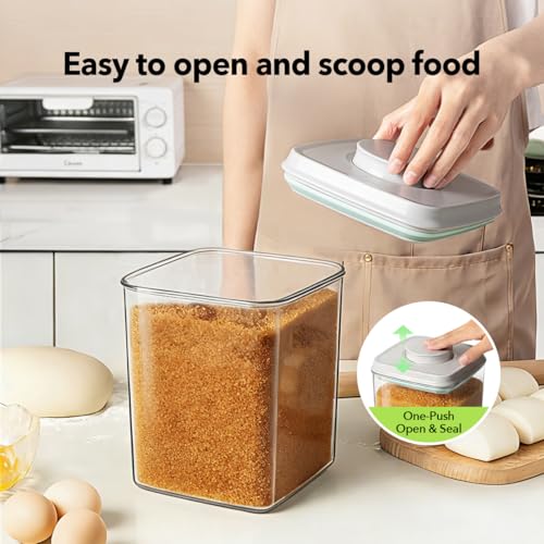 Food Storage Container Set 2.8 Qt ×2 with Lids (2.8 Qt X 2)