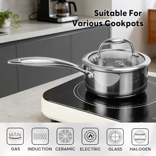 Sauce Pan with Glass Lid (1 QT / Silver)