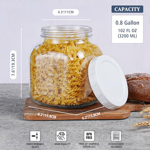 0.8Gal Glass Jar with Lid (0.8 Gallon)