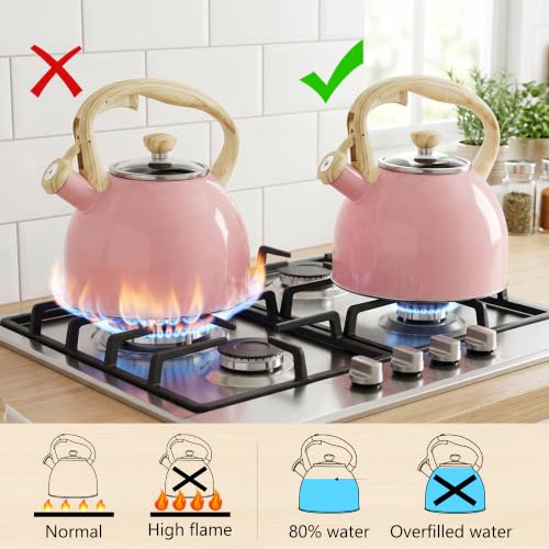 Whistling Tea Kettle for Stove Top (Pink)