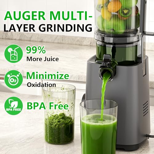 Cold Press Juicer Machines (Grey)
