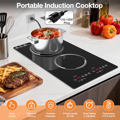 Double Induction Cooktop (12 Inch Black)