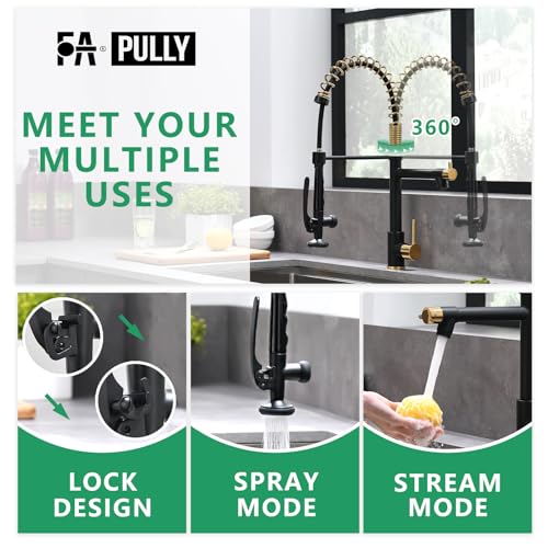 Black&Gold Kitchen Faucet with Sprayer (Black&Gold)