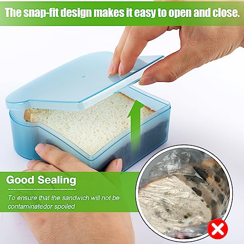 20 Oz Sandwich Containers for Kids (4 Colors)