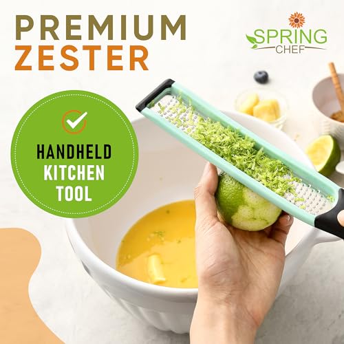 Stainless Steel Lemon Zester (Mint)