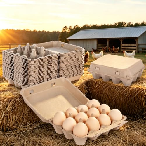 25 Pack Egg Cartons Bulk (3x4 Style - 25Pack)
