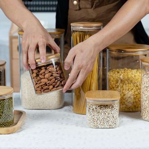22oz/0.7Qt/650ml Round Glass Storage Containers with Lids 6-Pack (6 Count)