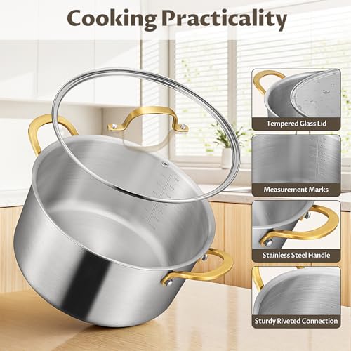 12 QT Stock Pot with Lid (12 Quarts)