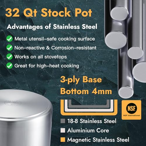 32 Quart Heavy Duty Stock Pot with Lid (32 Quarts)