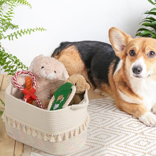 Woven Baskets for Storage (Stitches Rainbow / 3 Pack)