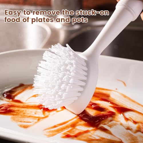 Dish Brush 2 Pack Dish Scrub Brush and 2 Pack Grout Brush