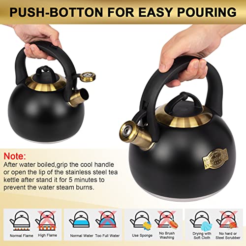 Tea Kettle for Stovetop (Black)