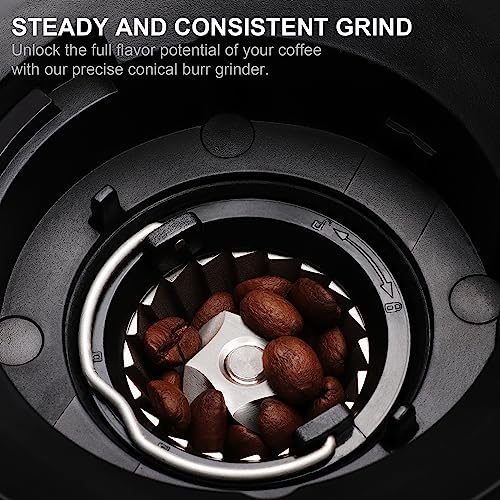 Electric Coffee Grinder (BG706 With Parts)