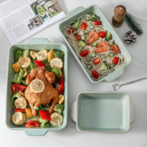 9x13 Baking Dish Set (Turquoise)