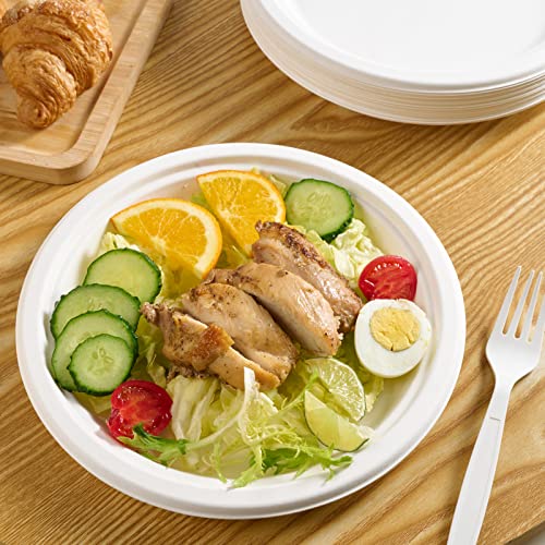 150 Pack Paper Plates 9 inch 100% Compostable (9 in White 150)