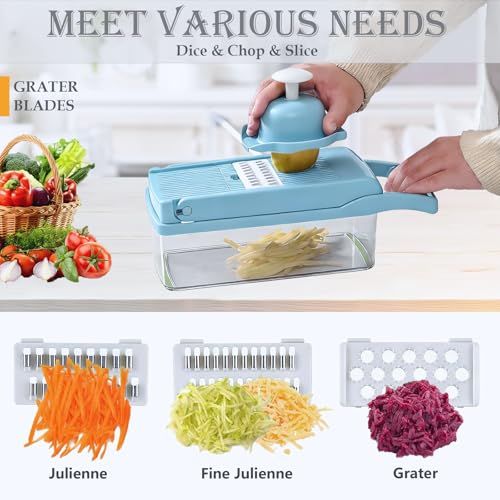 Vegetable Chopper Mandoline Slicer Home Kitchen Appliance Essential Gadget (Blue)