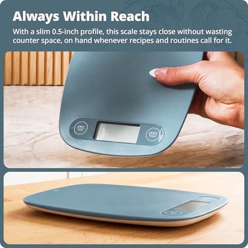 Food Scale Slim & Compact Build (Stone Blue)