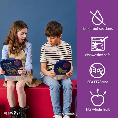 Harry Potter Mini Lunch Box Kids (Harry Potter / 1-pack)