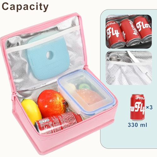 Small Insulated Lunch box Portable Soft Bag Mini Cooler Thermal Meal Tote Kit with Handle for Work & School