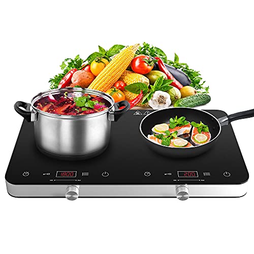 Portable Double Induction Cooktop (Double Induction Cooktop with Knob Control)
