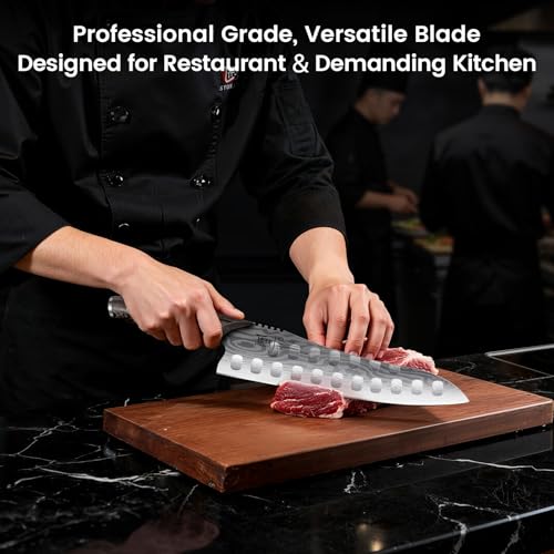 Gyutou Chef Knife (9.5")