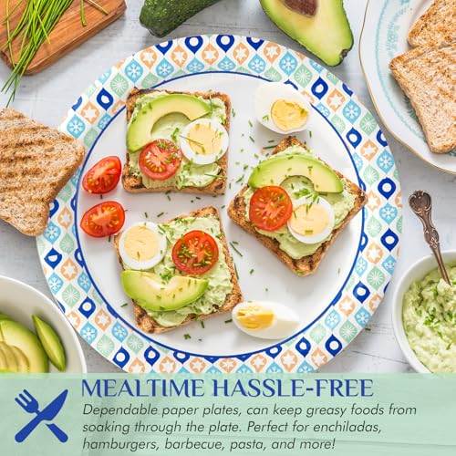 8.375 Inch Paper Plates (288 Count (Pack of 1))