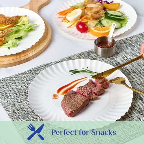 9 Inch Paper Plates (300 Count (Pack of 1,9 Inch))