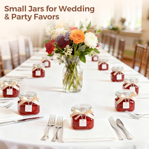 Square Small 17 oz Glass Jars with Airtight Lids 6 Pack Wide Mouth (17 fl oz x 6)