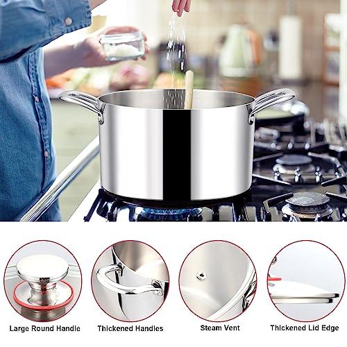 6QT 18 10 Stainless Steel Stockpot with Lid (6 Quarts)