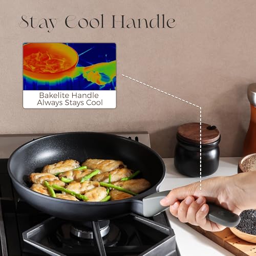 Nonstick Frying Pan with Lid (10" W/Lid / Black Sesame)