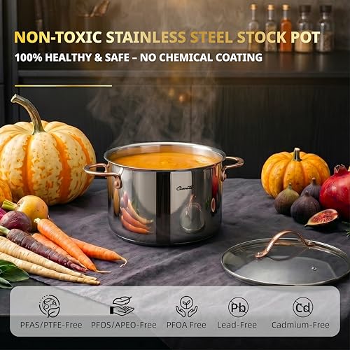 8 Quart Stock Pot (Stock Pot / 8 Quart)
