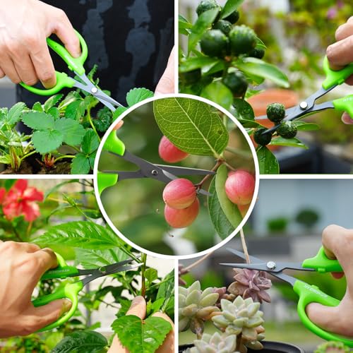 Garden Scissors (Curved 1pcs + Straight 1pcs)