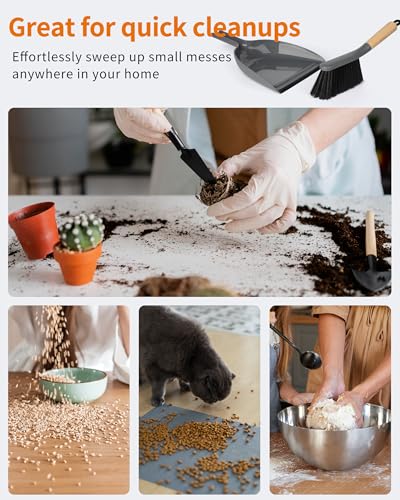 Dustpan and Brush Set