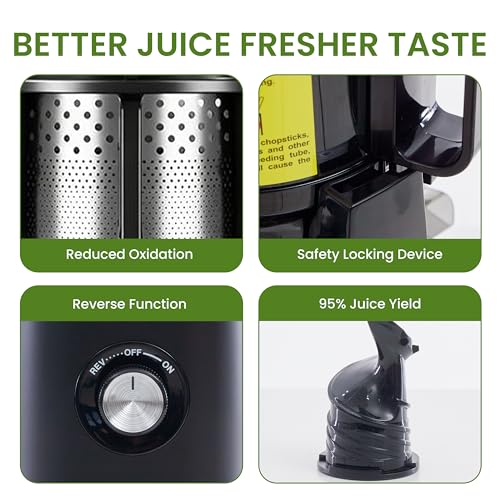 Cold Press Juicer (Black / 200W)