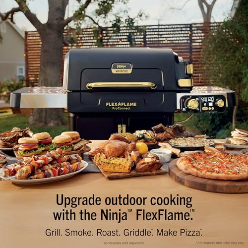 FlexFlame ProConnect Grill & Smoker (Black/Gold)