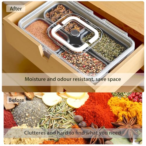 Snackle Box Container (4 Compartment (13.38"L x 9.25"W x 3.54"H))