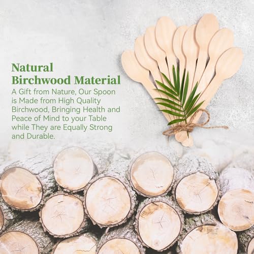 300 Count Compostable Wooden Disposable Spoons for Party (brown-spoons)