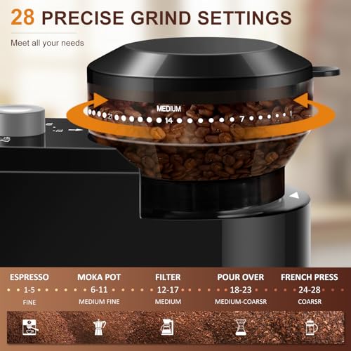 Electric Burr Coffee Grinder (Light Gray)