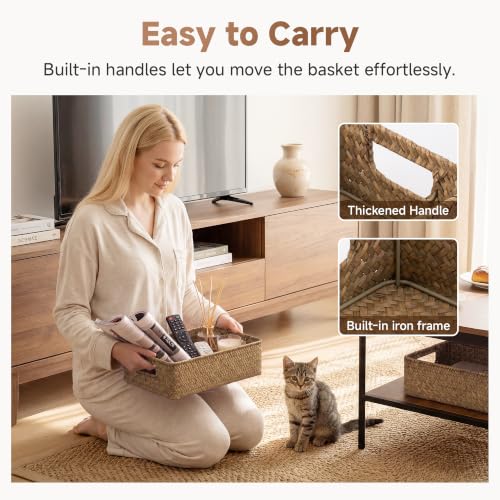 Wicker Baskets for Storage (Natural (Seagrass) / 2x 11¼"L x 7½"W x 3½"H)