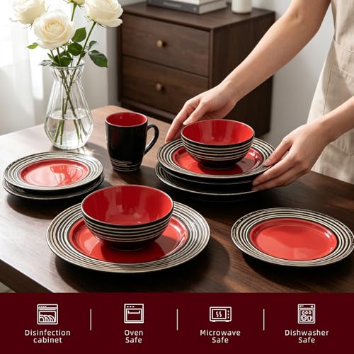 HomeVss 16 Piece Dinnerware Set