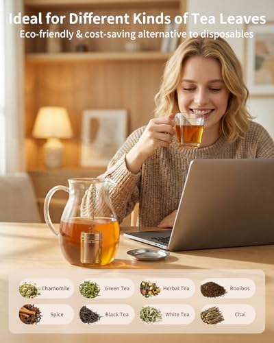 Tea Infusers Extra Fine Mesh Tea Strainers for Loose Tea (Small×1 / Plain)