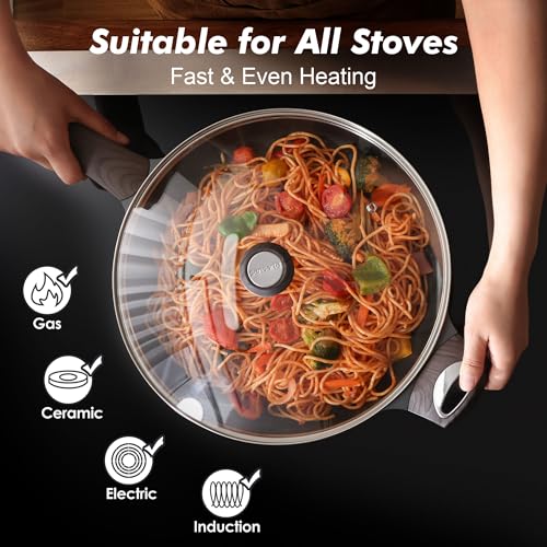 12.5inch Nonstick Frying Pan Paella Pan with Lid (12.5 Inch / NIGHT Black)