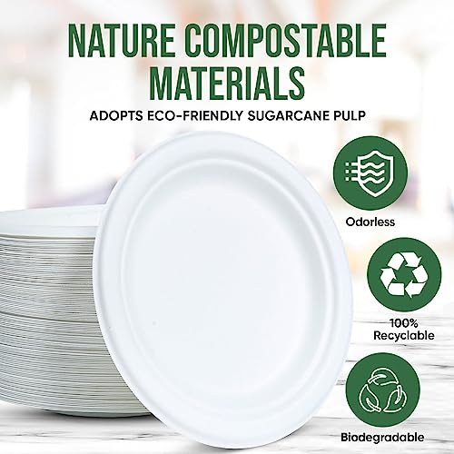 7 Inch Paper Plate 100 Pack White Disposable (White / 7 IN)